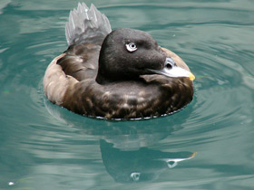 Фото Турпан