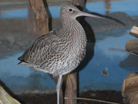 Смотреть фото Cамый большой угол зрения Фото Cамый большой угол зрения