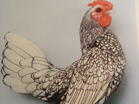 Смотреть фото Домашняя курица Фото Домашняя курица
