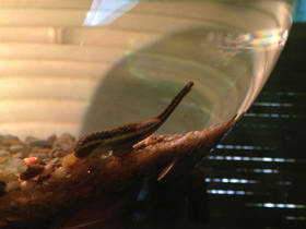 Смотреть фото Самые Фото Самые