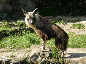 Смотреть фото Самые непохожие Фото Самые непохожие