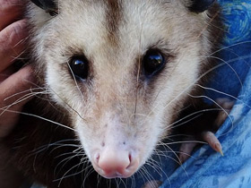 Смотреть фото «Мама, возьми меня на ручки!» Фото «Мама, возьми меня на ручки!»