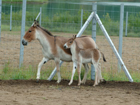 Смотреть фото Кианг Фото Кианг