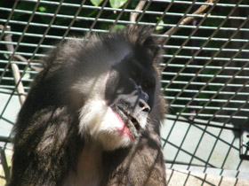 Смотреть фото Дрил Фото Дрил