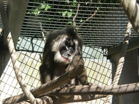 Смотреть фото Дрил Фото Дрил