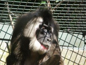 Смотреть фото Дрил Фото Дрил