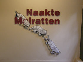 Фото Голый землекоп: обаятельный уродец