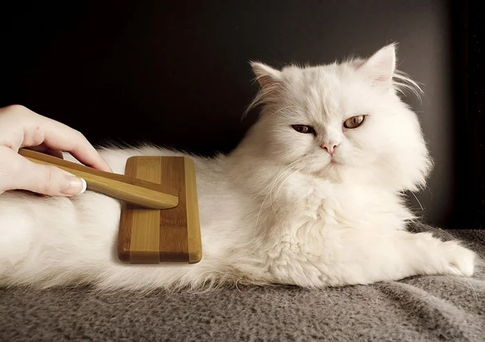 Фурминатор для кошки