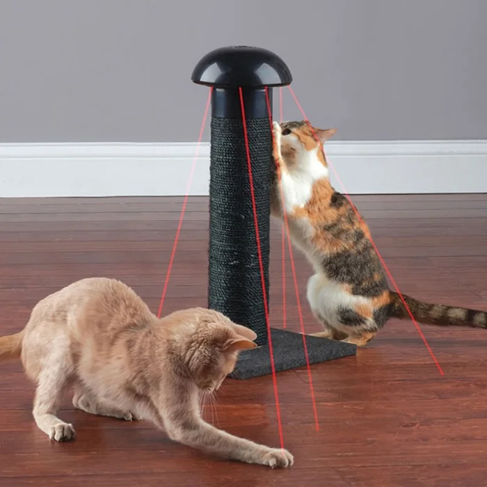 Какие бывают игрушки для кошек и как их выбрать