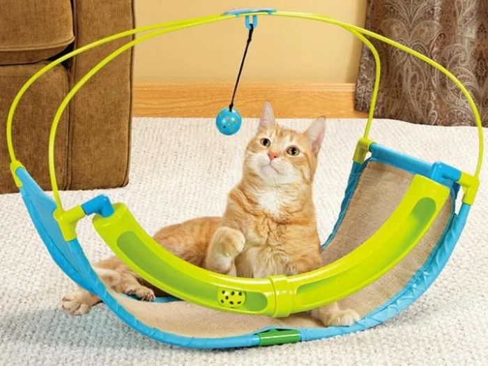Какие бывают игрушки для кошек и как их выбрать