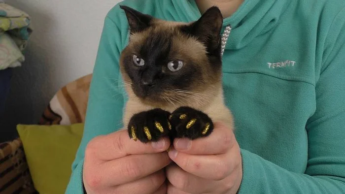 Силиконовые накладки на когти для кошек