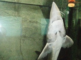 Смотреть фото Калуга Фото Калуга